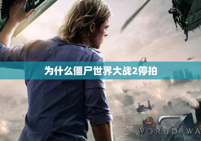 为什么僵尸世界大战2停拍
